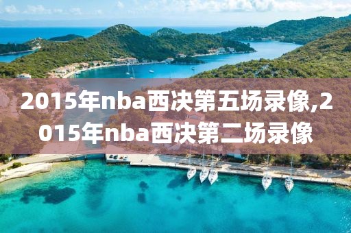 2015年nba西决第五场录像,2015年nba西决第二场录像