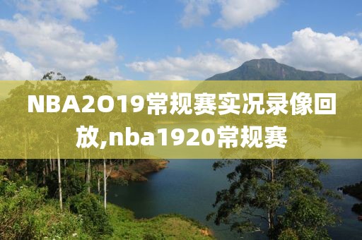 NBA2O19常规赛实况录像回放,nba1920常规赛