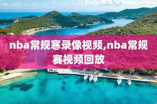 nba常规寒录像视频,nba常规赛视频回放