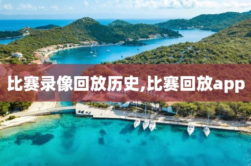 比赛录像回放历史,比赛回放app