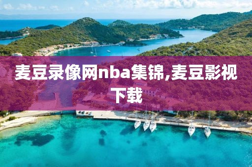 麦豆录像网nba集锦,麦豆影视下载