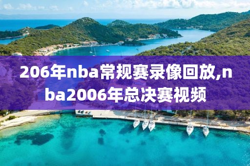 206年nba常规赛录像回放,nba2006年总决赛视频