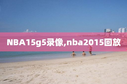 NBA15g5录像,nba2015回放
