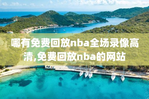 哪有免费回放nba全场录像高清,免费回放nba的网站