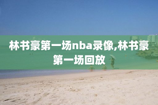 林书豪第一场nba录像,林书豪第一场回放