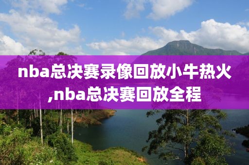 nba总决赛录像回放小牛热火,nba总决赛回放全程