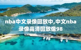 nba中文录像回放中,中文nba录像高清回放像98